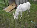IMG_5718