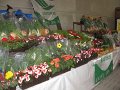 IMG_5781
