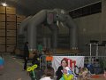 IMG_5790