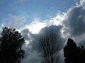 IMG_5897