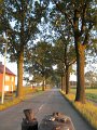 IMG_4994