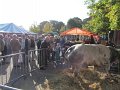 IMG_5074
