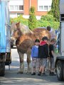 IMG_5110