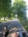 IMG_8251