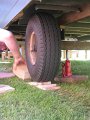 IMG_8287