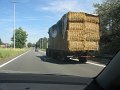 IMG_8292