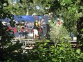 IMG_8302