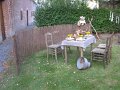 IMG_8318