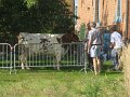 IMG_8388
