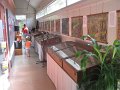 IMG_8401
