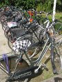 IMG_8436