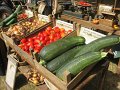 IMG_8446