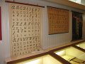 IMG_8456