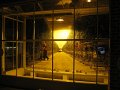 IMG_8463