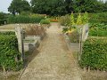 IMG_8549