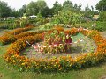 IMG_8552