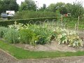 IMG_8557
