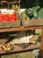 IMG_8578