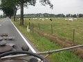 IMG_8680
