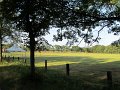 IMG_2758