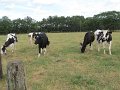 IMG_2892