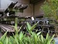 IMG_3014