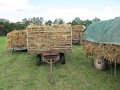 IMG_3172