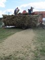 IMG_3174