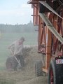 IMG_3184