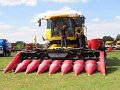 IMG_3195