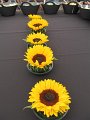 IMG_3216