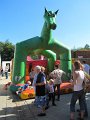 IMG_3307