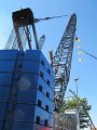 IMG_3316
