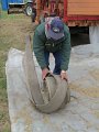 IMG_3422