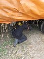 IMG_3446