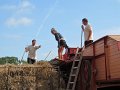 IMG_3479