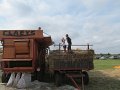 IMG_3480