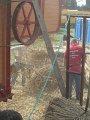 IMG_3492
