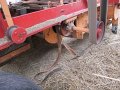 IMG_3563