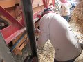 IMG_3611