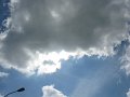 IMG_6446