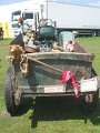 IMG_6505