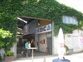IMG_6558