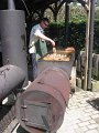 IMG_6565