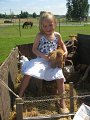 IMG_6623