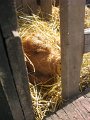 IMG_6626