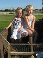 IMG_6798