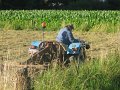 IMG_6810