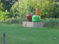IMG_6825