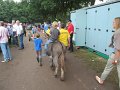 IMG_0992